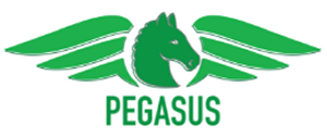 Pegasus Specialty Vehicles